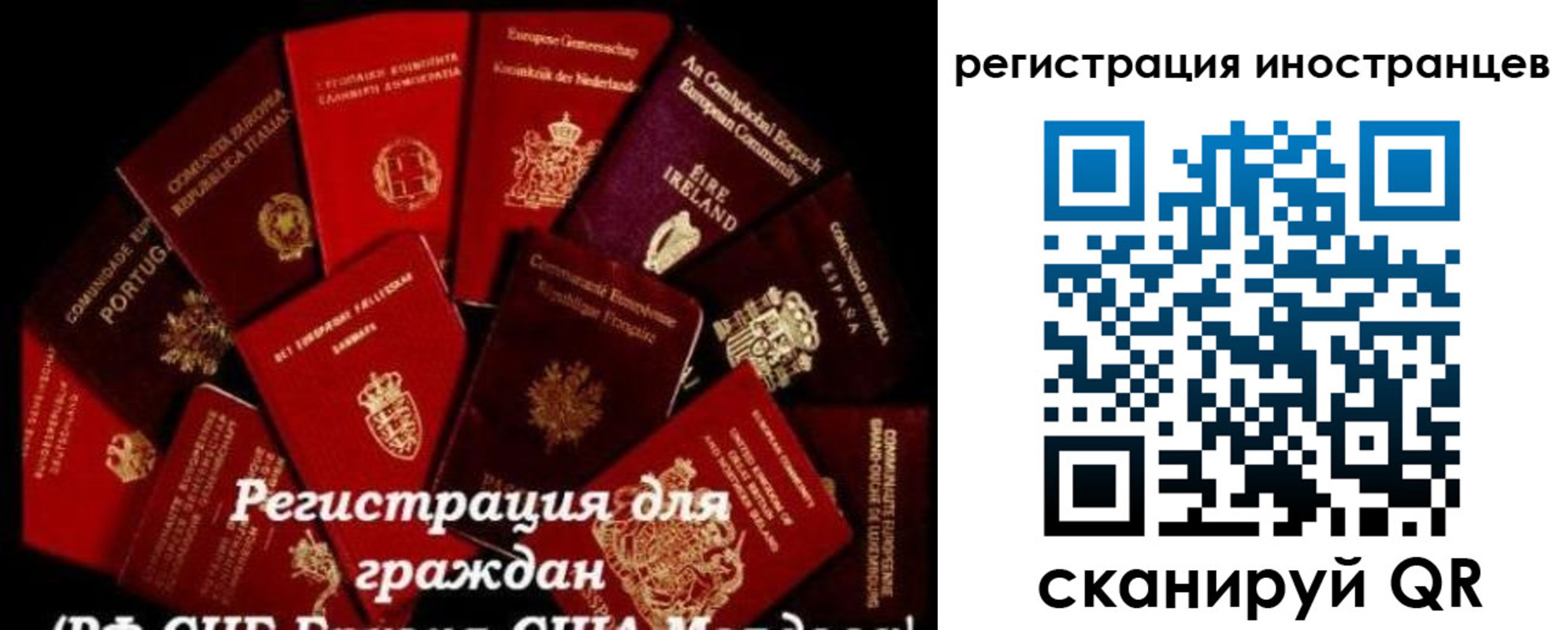 прописка иностранных граждан в Лесозаводске